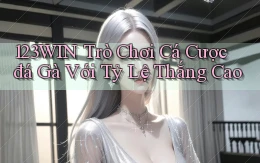 123win  trò chơi cá cược đá gà với tỷ lệ thắng cao