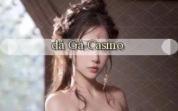 đá gà Casino