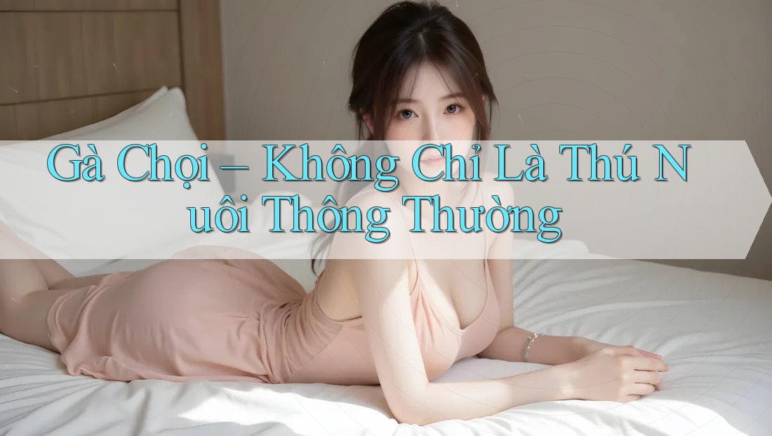 Gà Chọi – Không Chỉ Là Thú Nuôi Thông Thường
