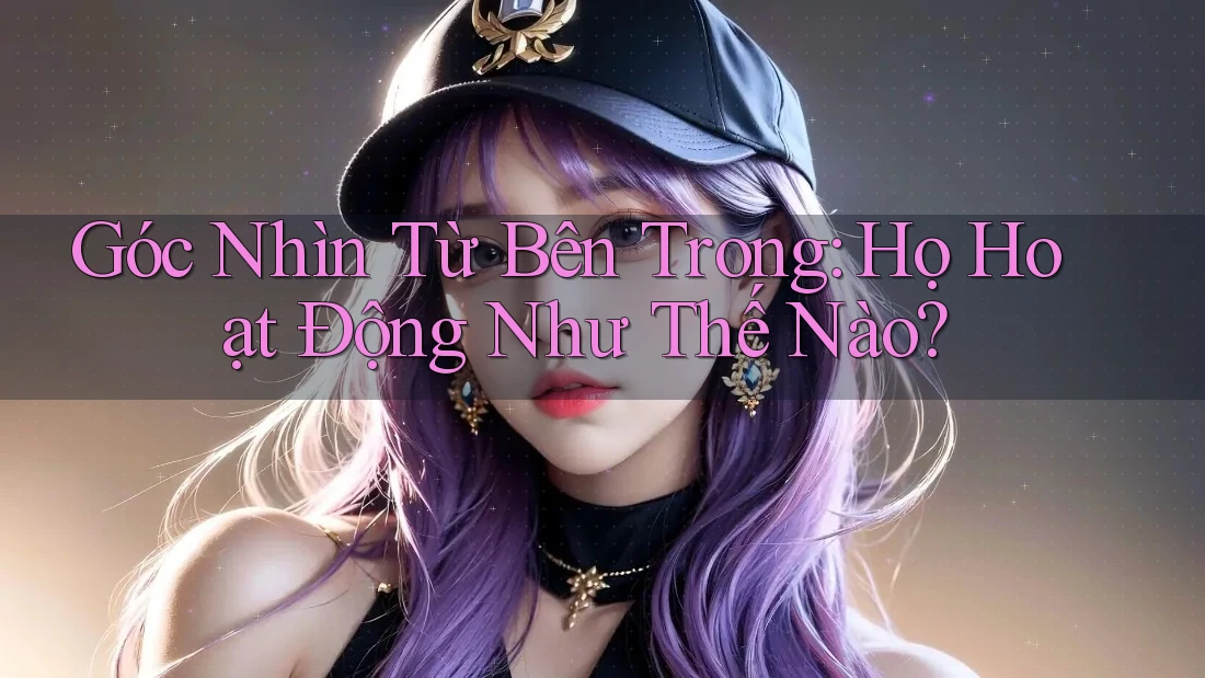 Góc Nhìn Từ Bên Trong: Họ Hoạt Động Như Thế Nào?