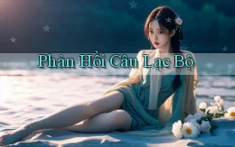 Phản hồi Câu lạc bộ