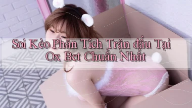soi kèo phân tích trận đấu tại ox bet chuẩn nhất